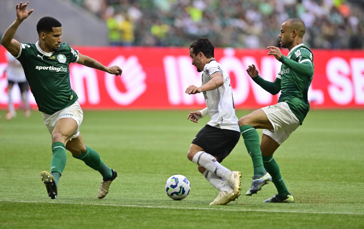 Botafogo Palmeiras | Lani je bil brazilski prvak Botafogo, šest točk pred Palmeirasom. | Foto Guliverimage