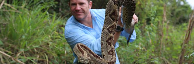 V tej vznemirljivi seriji se strokovnjak za divje živali Steve Backshall podaja v lov za najstrašnejšimi živalmi na svetu. Na vaše male ekrane bo pripeljal vse od kober do kajmanov. │ Od ponedeljka, 9. julija, ob 18.10. │ Foto: ITV Global | Foto: 