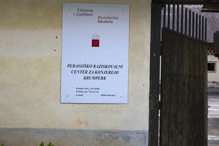 Krumperk že desetletja velja za eno ključnih ustanov konjerejskega znanja in tradicije. | Foto: Ana Kovač