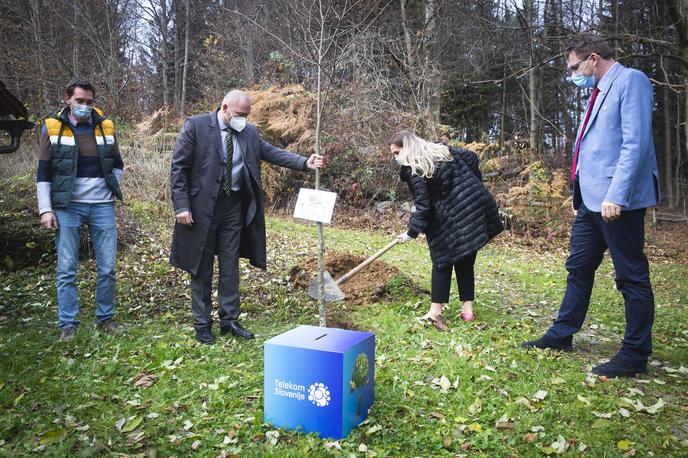Čebelarska zveza Slovenije - Telekom Slovenije. | Prvo od 15 milijonov novih medovitih dreves, ki naj bi jih Slovenija dobila do leta 2030. | Foto Bojan Puhek