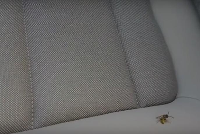 Mobilna magistrala: tedenski videodnevnik redakcije Avtomoto – VLOG #8