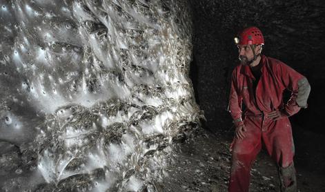 Na grško-albanski meji odkrili ogromno pajkovo mrežo