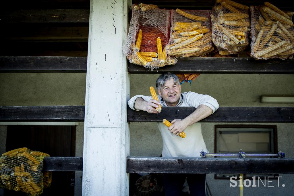 Stanko Valpatič ekološka kmetija vegan veganski izdelki Za naravo Društvo za osvoboditev živali krava veganstvo hrana