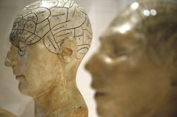 Znanstveniki izdelali digitalni model človeških možganov