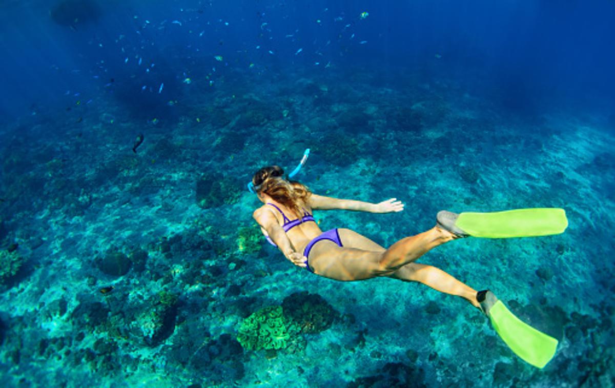 snorklanje | Bližnje srečanje z orkama je na potapljače naredilo velik vtis. | Foto Getty Images