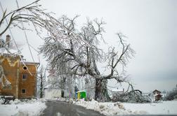 Rdeči alarm za severozahod Slovenije, nevaren žled spet v noči na sredo (foto in video)