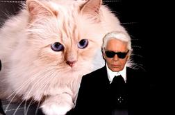 Karl Lagerfeld svoji mački zapustil milijone, a ni prejela niti centa