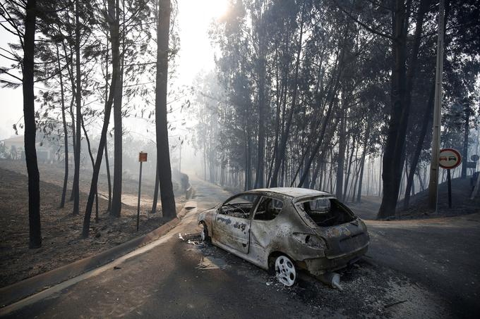 Med nedavnim požarom na Portugalskem je najmanj 30 ljudi zgorelo v svojih avtomobilih. Vseh žrtev je več kot 60. | Foto: Reuters