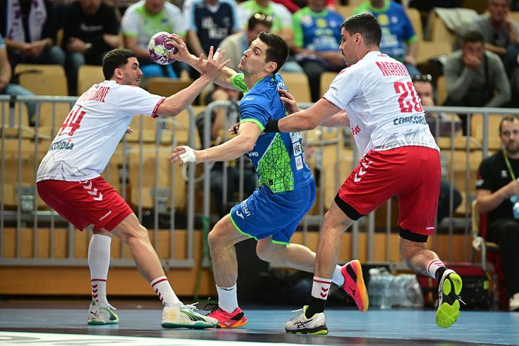 Slovenska rokometna reprezentanca | Foto: www.alesfevzer.com