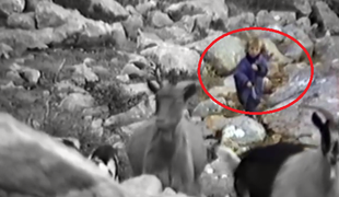 Neverjetni posnetki: petletni Luka Modrić kot pastir #video