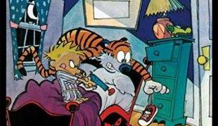 Calvin in Hobbes prvič v slovenščini