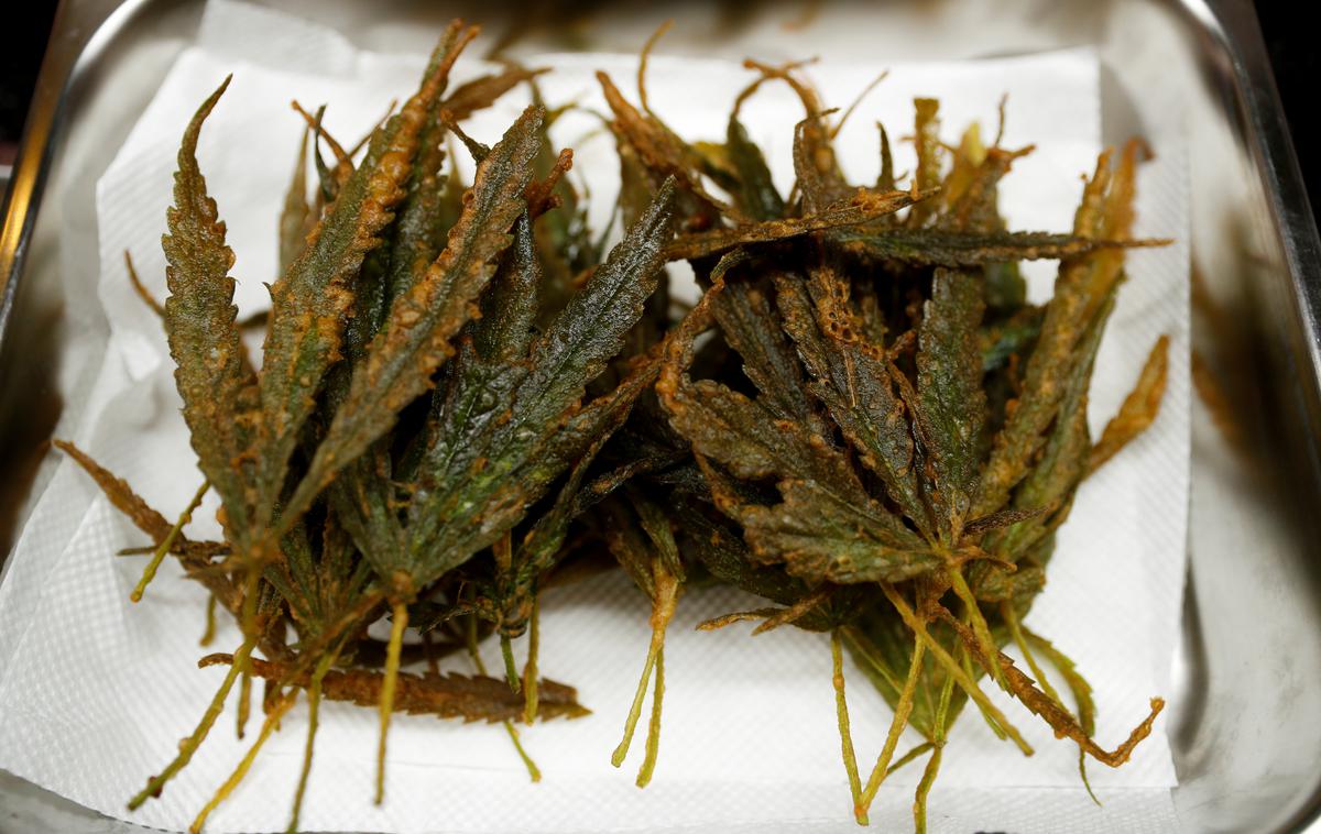 marihuana | Oba sta v priporu. | Foto Reuters