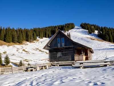 Ženiklovec, malo znan razglednik, a je nezahteven zimski vzpon #video