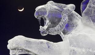 FOTO: Umetnost v snegu in ledu