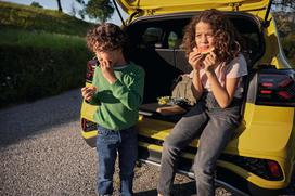 VW_slika_12