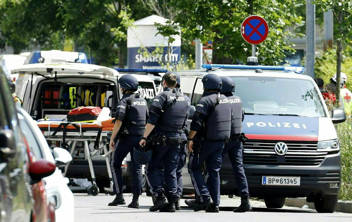 Gradec, streljanje, šola | Foto Profimedia