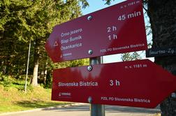 Na Pohorju zgorela počitniška hišica in manjši gostinski objekt