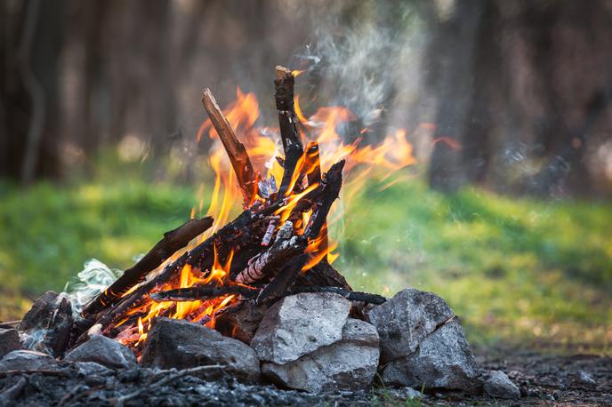 Ogenj | Od petka je prepovedano kuriti, požigati in odmetavati goreče ali druge predmete, ki lahko povzročijo požar. | Foto Getty Images