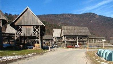 Gasilcu za požig bohinjskih senikov pogojna kazen