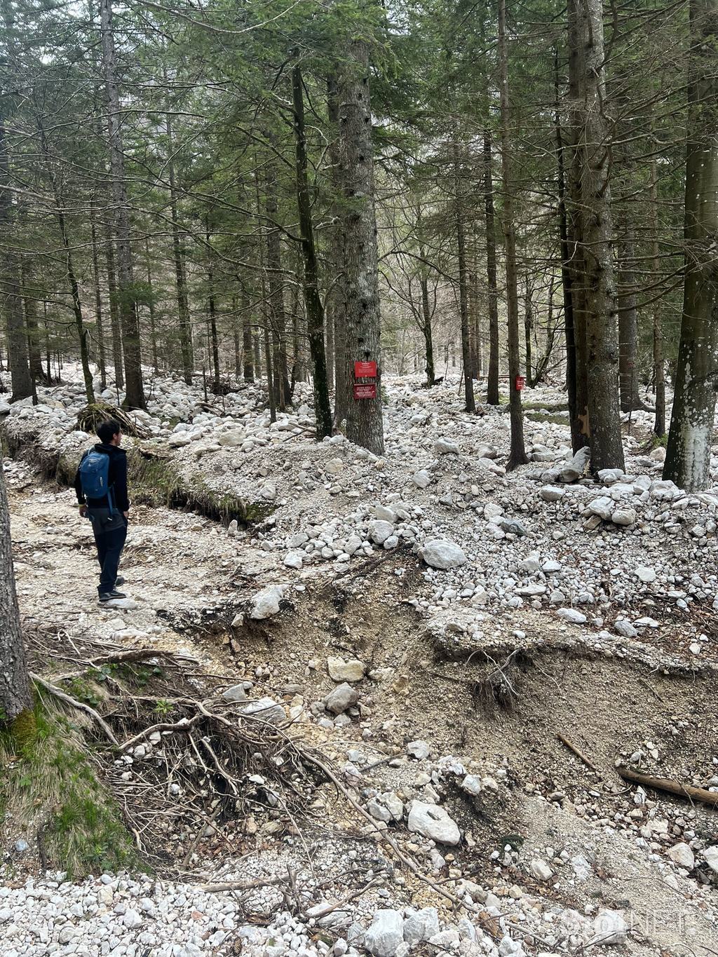 Suhadolnik Kokrško sedlo