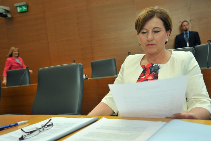 Čeprav NSi ostaja v senci SDS, Zorko ocenjuje, da Ljudmila Novak stranke ni vodila slabo. | Foto: STA ,