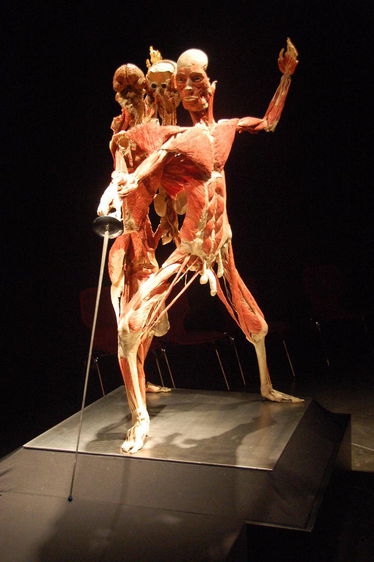 Gunther von Hagens, smrt | Foto: Guliverimage