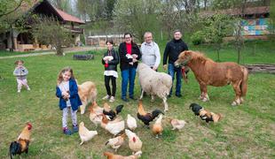 Kmetija Čebelji gradič, dom ene od najštevilčnejših družin v Prekmurju #video