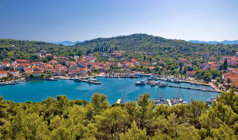 Na hrvaškem otoku Ugljan invazija divjih svinj. "Več jih je kot prebivalcev."