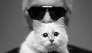 Še ena od Lagerfeldovih cvetk: Poročil bi se s svojo mačko!
