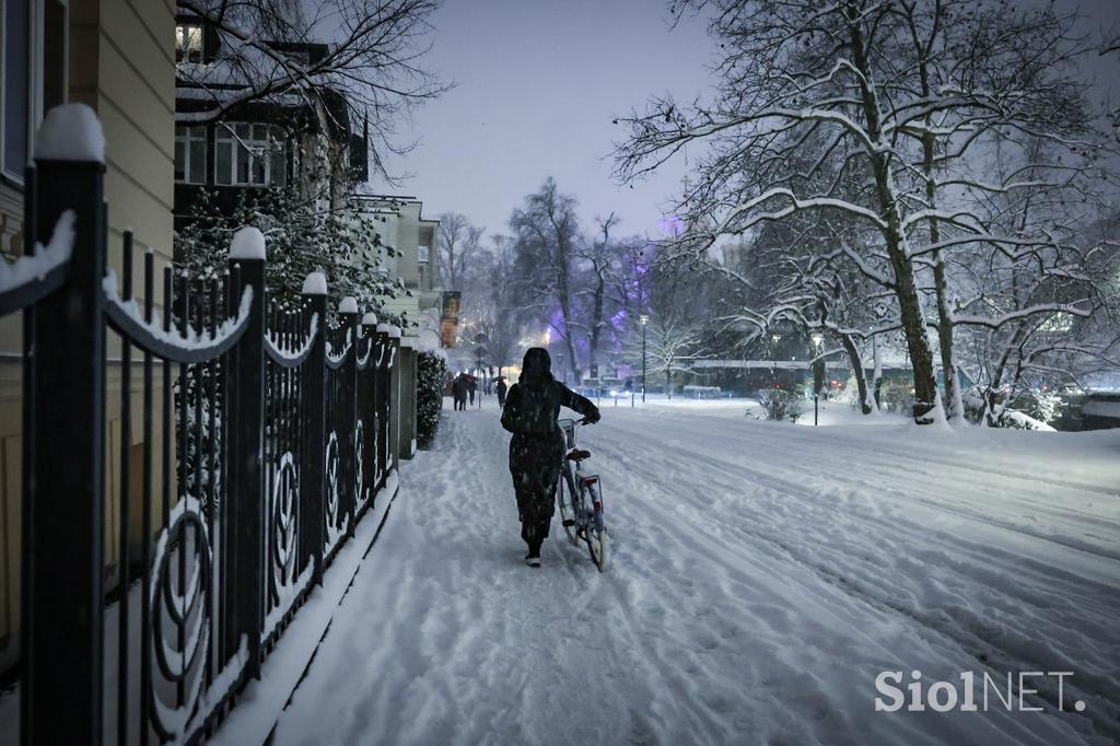 Sneg v Ljubljani