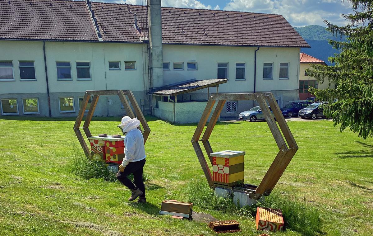 Medved. Zapor Dob. Obisk medveda. |  Obisk naj bi se zgodil med 2. in 3. uro ponoči, ko je bilo slišati tudi močno lajanje okoliških psov. | Foto Urbani čebelar
