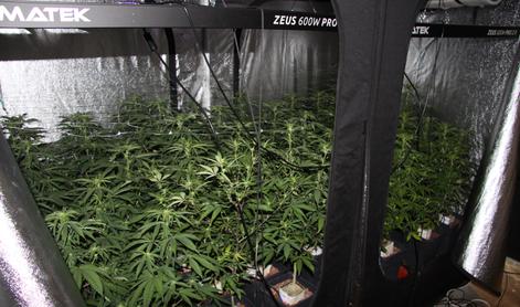 Znova večji zaseg droge v okolici Ljubljane #foto