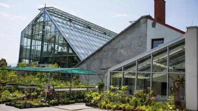 Ljubljanski vrt, v katerem gojijo zvončke za 520 evrov (foto)