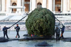Vatikan, božično drevo