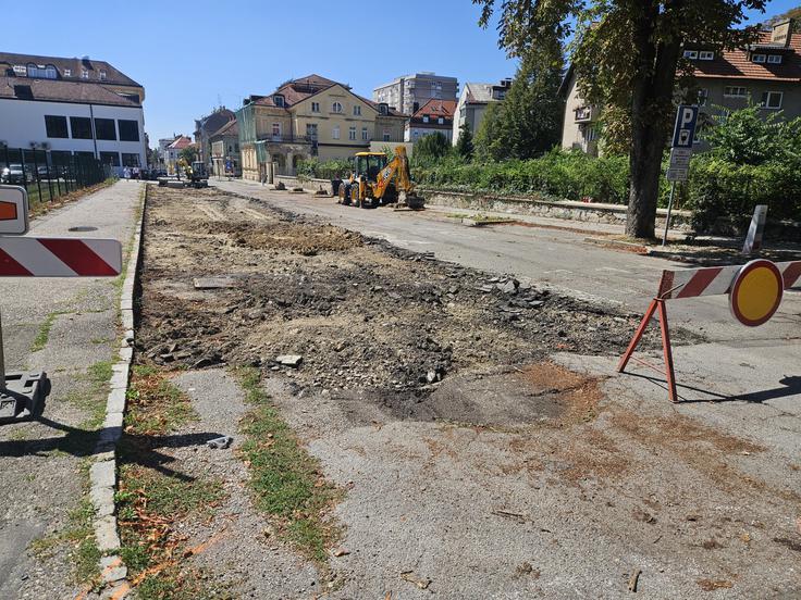 posek dreves, Maribor, Saša Arsenovič | Foto: Gregor Mlakar/STA