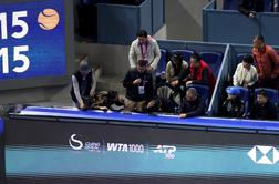 Rus ob zaostanku proti Đokoviću diskvalificiran, gledalec v zdravniško oskrbo #video