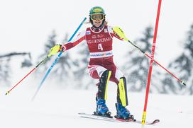 Zlata lisica, slalom