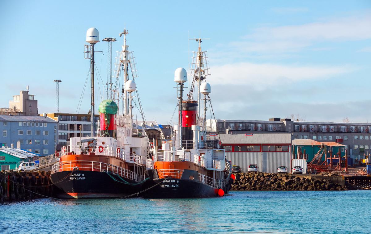 Islandija, Hvalur podjetje | Ribolov in kitolov sta za islandsko gospodarstvo izjemno pomembna že stoletja, v zadnjih dveh desetletjih pa je v državi zacvetel tudi turizem, vključno z ogledi kitov. | Foto Shutterstock