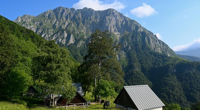 Samotna pešpot po idiličnih planinah #video