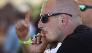 Zakaj bodo v Koloradu v sredo marihuano kadili brez davka?
