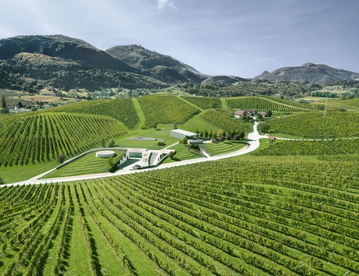 Vinska klet Zlati grič je za svojo zasnovo prejela številna mednarodna arhitekturna priznanja in je ena najsodobnejših vinskih kleti v regiji. | Foto: Zlati grič