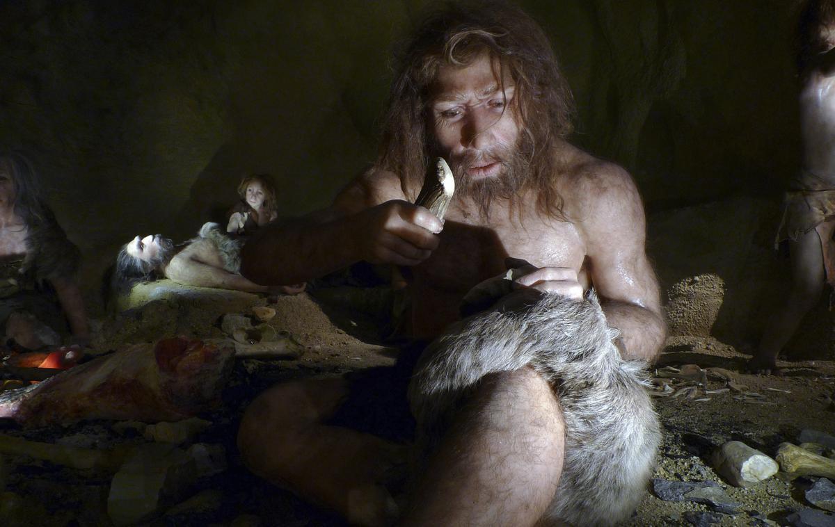 neadertalec | Pred več kot stotimi leti najdeni zobje so dokaz, da so neandertalci spolno občevali z modernim človekom. | Foto Reuters