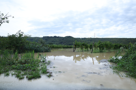 Poplave Dragonja