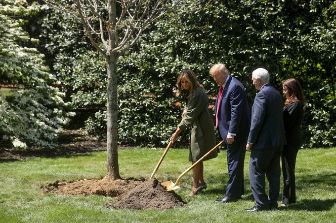 V ZDA je že skoraj tradicionalno, da na svetovni dan Zemlje predsedniški par posadi drevo. Na fotografiji iz leta 2017 Melania in Donald Trump v vrtu Bele hiše sadita drevo. | Foto: Reuters