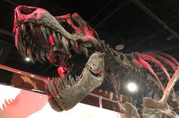 Znanstveniki odkrili presenetljivo dejstvo o krvoločnem dinozavru