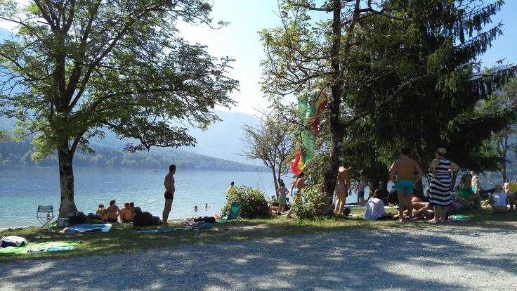 Padalski tandem je takole lani poleti zasilno, a srečno pristal na obrobju Bohinjskega jezera, nekaj deset metrov od pristajalne točke za padalce z Vogla in Vogarja.  | Foto: Andreja Lončar