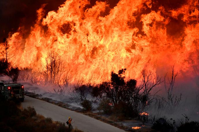 Gozdni požar, Kalifornija | Najvišje opozorilo pred požari so za zdaj izdali v šestih pokrajinah na jugu in v osrednjem delu Portugalske. | Foto Reuters