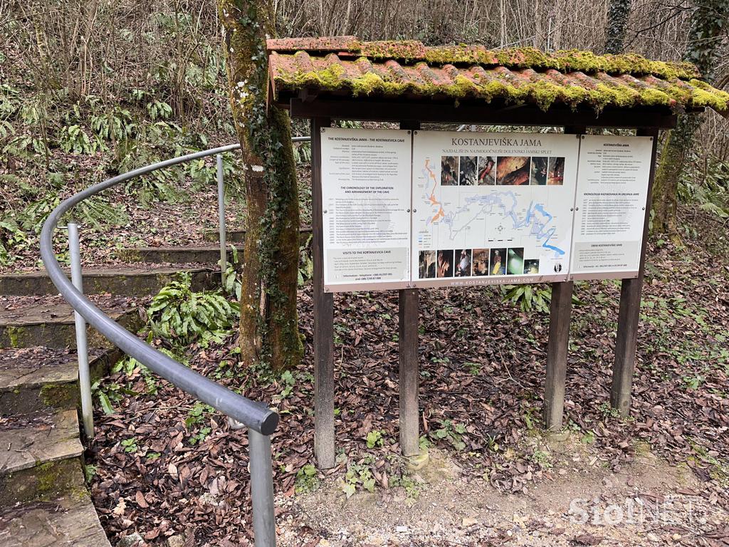 Kostanjevica na Krki, reka Studena