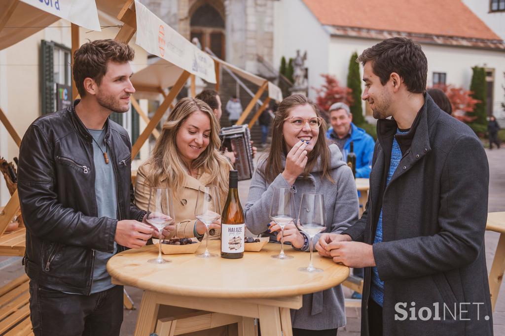 vinorodna štajerska