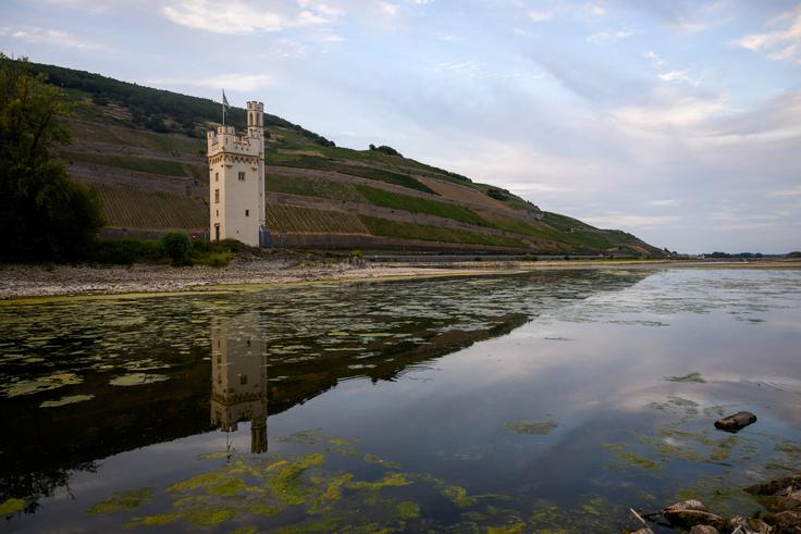 Donava, Ren, suša | Foto: Reuters
